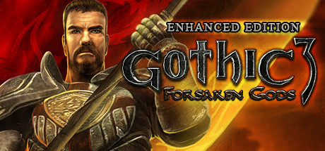 Gothic 3: Forsaken Gods Enhanced Edition / Steam / EU